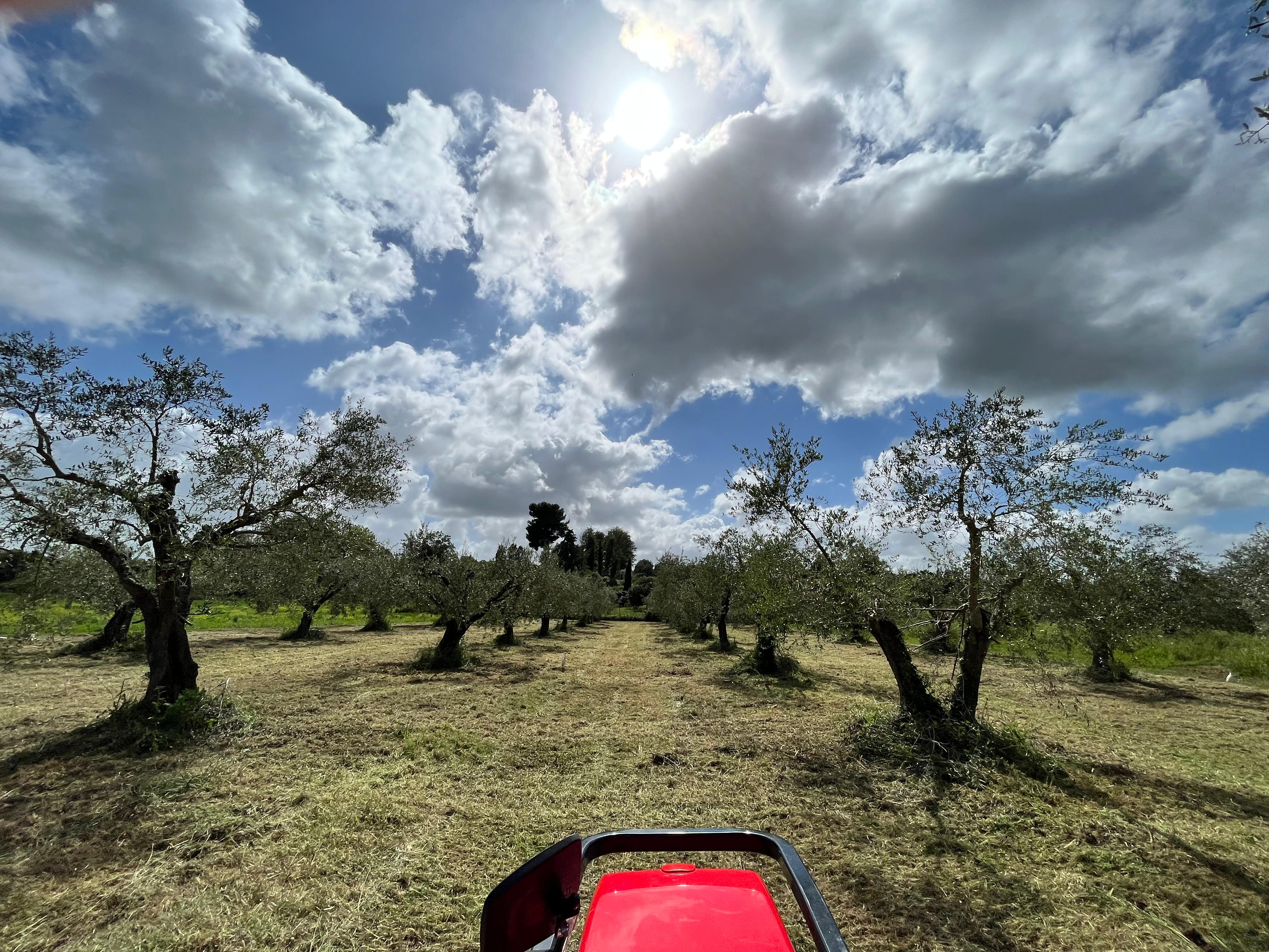 Impianti irrigazione